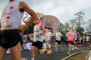 BIB: 
                            <button type="button" onclick="openModal(26528280)" class="btn btn-primary btn-sm float-right btn-popup" data-toggle="modal" data-target=".modal-high-quality">
                        <i class="fas fa-shopping-cart"></i> Add to Cart
                    </button>
                                            <button type="button" onclick="isThisMe(26528280, true)" class="btn btn-success btn-sm float-right btn-popup btn-isme hidden" data-toggle="tooltip" data-placement="bottom" title="นี่คือรูปของคุณใช่ไหม คลิกที่นี่เพื่อเอาเข้าอัลบั้ม">
                        <i class="fas fa-plus"></i> Add to album
                    </button>
                    <button type="button" onclick="isThisMe(26528280, false)" class="btn btn-warning btn-sm float-right btn-popup btn-isnotme hidden">
                        <i class="fas fa-ban"></i> Remove from album
                    </button>